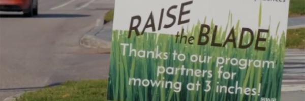 Raise the Blade sign near street